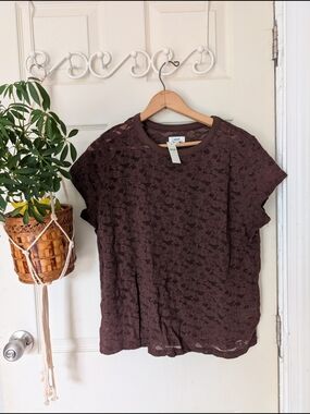 NWT aerie Brown Floral Semi-sheer Lace Short Sleeve Top Large